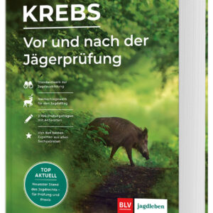 Krebs, Vor und nach der Jägerprüfung