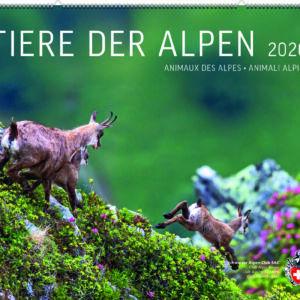 Tiere der Alpen 2026