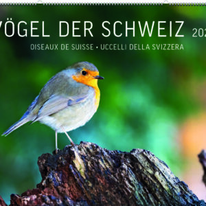 Vögel der Schweiz 2026