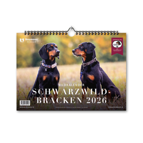 Schwarzwild-Bracken 2026