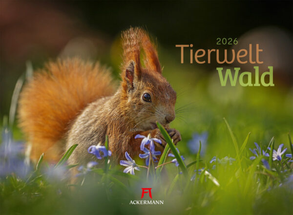 Tierwelt Wald 2026