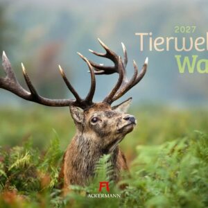 Tierwelt Wald 2027