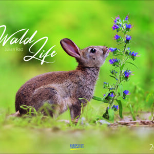 WaldLife 2027