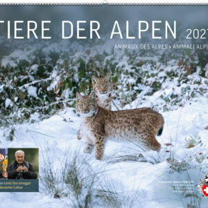 Tiere der Alpen 2027